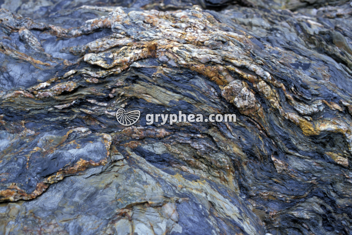 Roches métamorphiques Bretignoles - gryphea.com